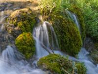 Kaskade an moosbewachser Travertinstufe - Krka NP